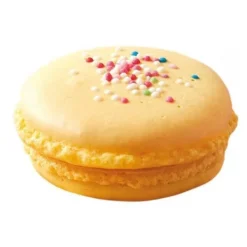 2 bakverksmunstycken i rostfritt stål - Macarons
