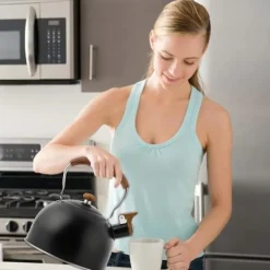 Vattenkokare-2,5 liter visselvattenkokare, Svart tekanna, kompatibel med gas- och induktionshällar, kan vissla