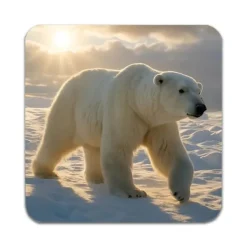 4 ST Djur Isbjörn Underlägg