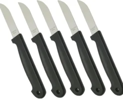 Köksknivar-5 st Fruktknivar i rostfritt stål - knivar