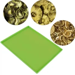 Torkugnar-4 st silikon torkmattor livsmedelskvalitet hög temperaturbeständighet förhindrar klibbning frukttorkbrickor med kant grön