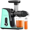 AMZCHEF GM3001-GN sakta juicepress (grön)