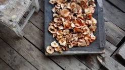 Torkugnar-Bärtork, MSG-01, MPM