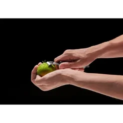 Matskalare & Urkärningsverktyg-Citruszester, rostfritt stål, 16,5 cm, mörkgrå stång / Lurch