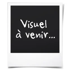 CUISINART Glassmaskin - ICEFD10E - Kapacitet 3 x 240 ml - 250 W