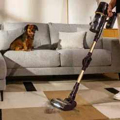 Handdammsugare-Dammsugarborste Cecotec Conga Rockstar RS70 Pet Flex 480 W