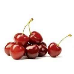 Matskalare & Urkärningsverktyg-Denoyauteur - Inox - 16x6 cm - Fruktdiameter 2,5 cm - Automatisk utmatning - Diskmaskinssäker