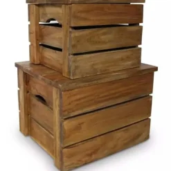 vidaXL Förvaringslådor För Hemmet-Förvaringslådor - - 2 st - Återvunnet trä - Antik stil - Brun