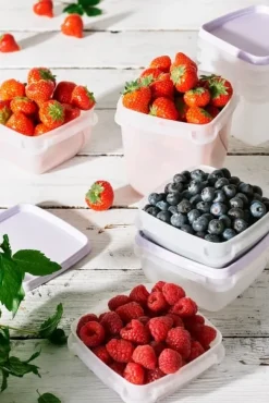 Smartstore Behållare För Matförvaring-Frysburk 5 pack x 0,5 L Lavendel