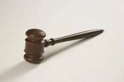 Gavel valnöt 26cm