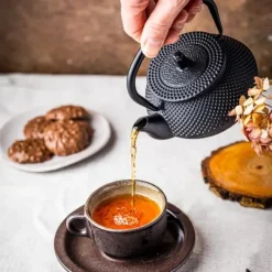 Kaffe- & Tekannor-Gjutjärn tekanna infuser 0,3L KINGHOFF KH-1817