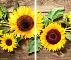 Karottunderlägg-GLAS SKÄRBRÄDA 2x 30x52 BLOMMOR