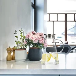 Karaffer-Glaskanna, 24x14x18 cm, Transparent