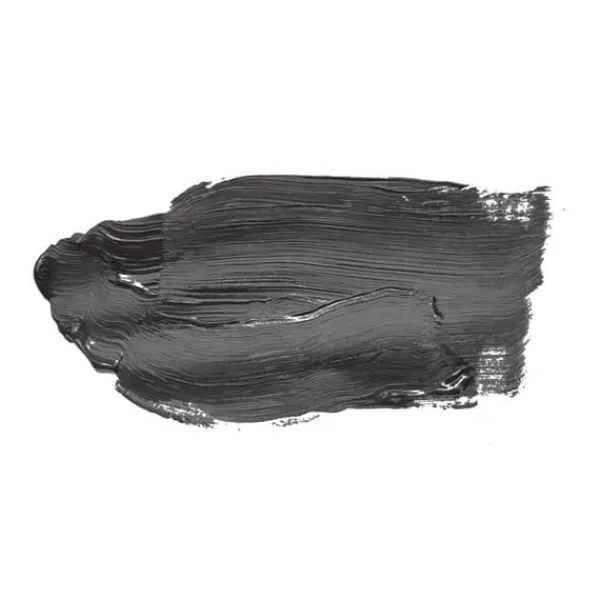 Tillbehör Till Kavlar-Grå matt väggfärg The Color Kitchen Poppy Seed Dispersion exklusiv för inomhusbruk Hög intensitet 5 liter