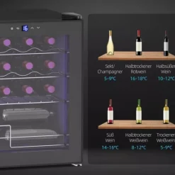 Vinkylar-HOMCOM Vinkyl 16 flaskor – Svart Metall – Pekskärm med LED-ljus och Glasdörr