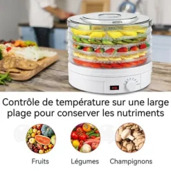 INN Mattorktork 28x28x32cm med 28cm diameter plattor 5 lager 35-70 grader Celsius kan torka frukter, grönsaker och kött