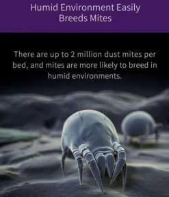 Handdammsugare-JIMMY JV35 Anti-Mite Vakuum - 700W - 60°C Värme/UV - 14Kpa Sug - Cyklonfiltrering - 245mm brett munstycke