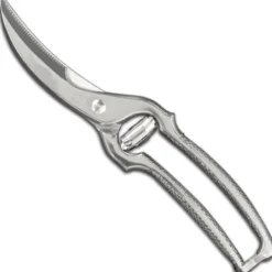 Kökssax i stål för fjäderfä, 250 mm