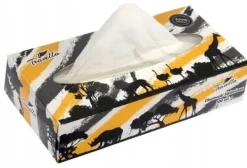 Pappersnäsdukar-2-lagers näsdukar i ask med 100 stycken