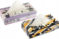 Pappersnäsdukar-2-lagers näsdukar i ask med 100 stycken