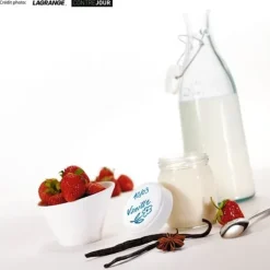 LAGRANGE - Yoghurtmaskin 439 101