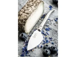 LAGUIOLE Cheese knives Laguiole Steel SET 3 SdV