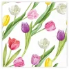 Matservetter Tulpaner mixade 20-pack Ivars i Lanna