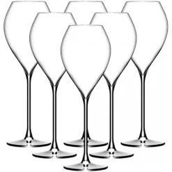 New Grand Champagneglas 25cl, 6-pack - Lehmann