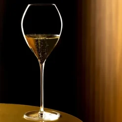 New Grand Champagneglas 25cl, 6-pack - Lehmann