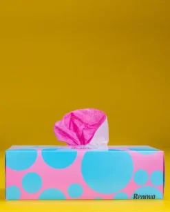 Renova avtagbara hygienvåtservetter blå och rosa 80 st