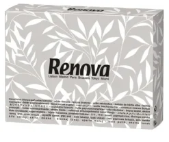 Renova BLK Mini 2-lagers hygieniska våtservetter i låda 70 stycken
