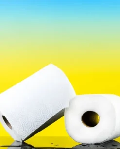 Pappershanddukar-Renova Maxi Absorption 2R Pappershandduk