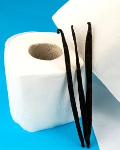 Toalettpapper-Renova Skin Care Vanilla 12R Toalettpapper