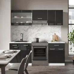 Monteringsfärdiga Kök & Pentryn-R-Line kök, 200 cm, PT Ek, Blank antracit/vit, Vicco