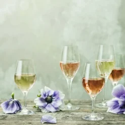 Orrefors Glas-Sense Champagneglas 25,5cl, 6-pack -