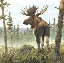 Servetter tecknad Älg 20-pack Gullers