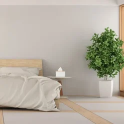 Pappersnäsdukar-Servetthållare, 10x17x13 cm, Vit