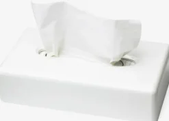 Pappersnäsdukar-Servietdispenser Tork ansigtserviet hvid