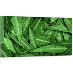 Karottunderlägg-SKÄRBRÄDA I GLAS 52X30 BLAD