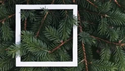 Karottunderlägg-SKÄRBRÄDA I GLAS 52x30 PAPRIKA