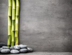 SKÄRBRÄDA I GLASPLATTA 52x40 BAMBU