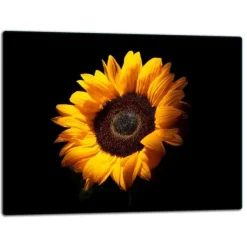 Karottunderlägg-SKÄRBRÄDA I GLASPLATTA 52x40 BLOMMA