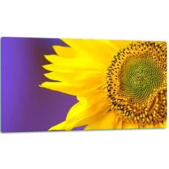 Karottunderlägg-SKÄRBRÄDA I GLASPLATTA 52x30 BLOMMA