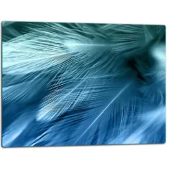 Skopor-SKÄRBRÄDA I GLASPLATTA 52x40 FJÄDRAR