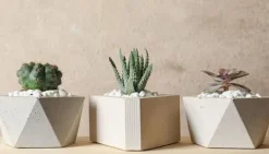 SKÄRBRÄDA I GLASPLATTA 52x30 KAKTUS