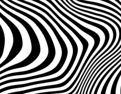 SKÄRBRÄDA I GLASPLATTA 52x40 MÖNSTER