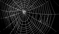 SKÄRBRÄDA I GLASPLATTA 52x30 SVART