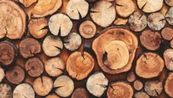 Skärbrädor-SKÄRBRÄDA I GLASPLATTA 52x30 TRÄ