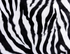 Mattor & Galler Till Diskhoar-SKÄRBRÄDA I GLASPLATTA 52x40 ZEBRA