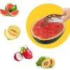 Skopor-Smidig Melon Skärare/Skopare